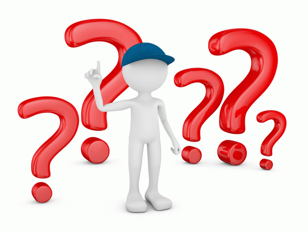 راهنمای کامل خرید وسایل گربه: 19 نکته ضروری برای نگهداری